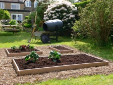 Raised beds